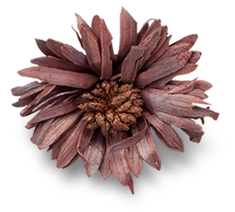 Dried Flower Cutout